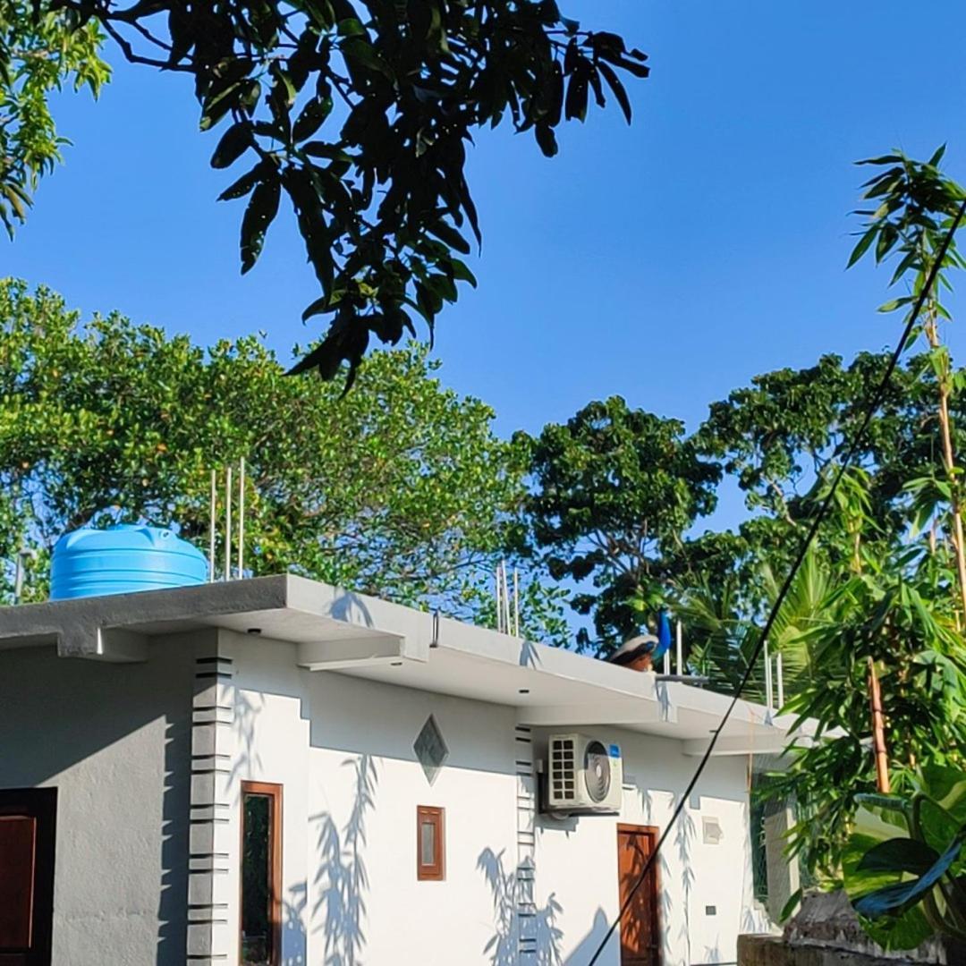 Green Nature Mirissa Habitación foto